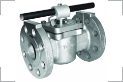 PlugValve